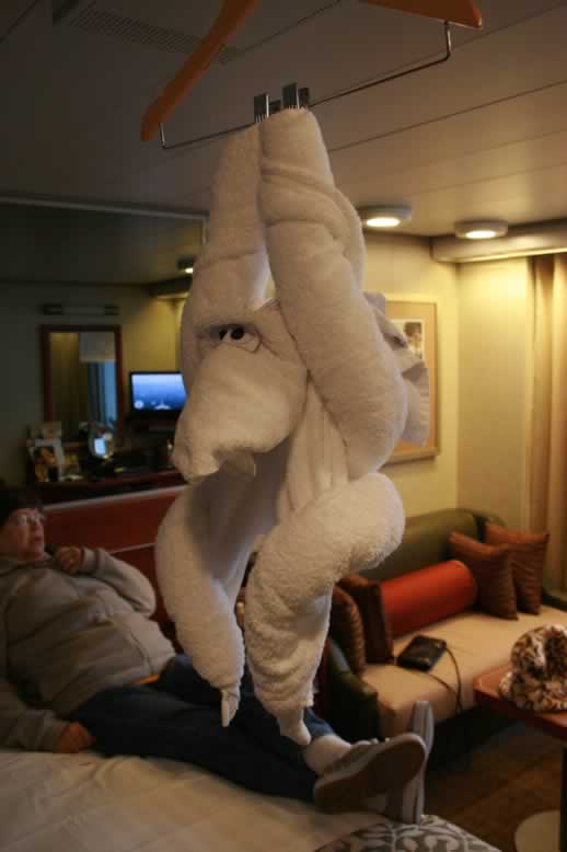 Hanging Monkey